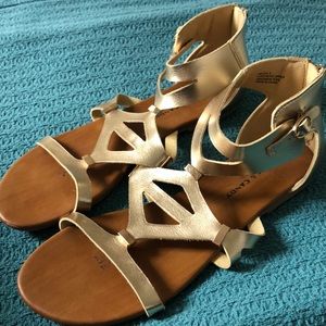 Rock & Candy by ZiGi gladiator strappy sandal.